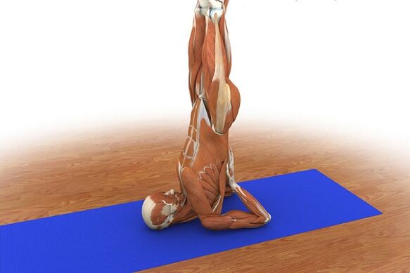 Gyakorlat a potencia növelésére „Birch”